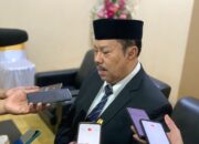 Penjelasan DPD I Golkar Soal Pencopotan Marten Taha