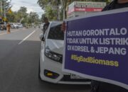 Gorontalo dalam Cengkeraman Proyek Biomassa, Ancaman bagi Lingkungan dan Kehidupan Warga