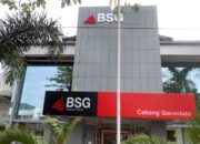 Dana BOS Raib, Aktivis Desak Pemerintah Tarik Kas Daerah dari BSG