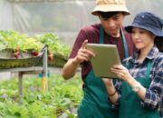 Pakar Pertanian Gorontalo: Program Petani Milenial Kunci Revitalisasi Sektor Pertanian Indonesia