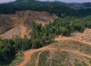 Deforestasi dan Ancaman Banjir di Pohuwato Izin Konsesi akan Perparah Krisis Ekologis