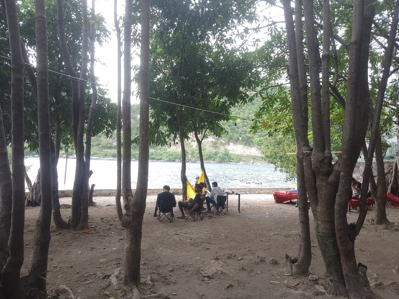 Keterangan: tempat camping yang di kelilingi pepohonan rindang