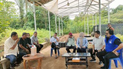 Komisi II DPRD Provinsi Gorontalo Tinjau Potensi Nilam di Bone Bolango