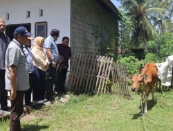 Komisi II DPRD Provinsi Gorontalo Tinjau Bantuan Sapi Aspirasi di Bone Bolango