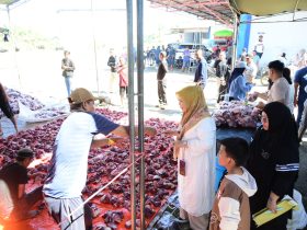 Wakil Gubernur Gorontalo Idah Syahidah Rusli Habibie meninjau langsung proses pembagian daging kurban dari 101 ekor sapi yang diselenggarakan secara pribadi oleh pengusaha Keluarga Haji Sennang di Kabupaten Gorontalo. (Foto: Nova Diskominfotik)