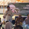 Produktivitas padi Bone Bolango mencapai 6-12 ton per hektare